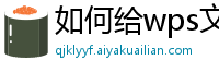 如何给wps文档加密设置密码保护文件夹